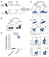 Immunogenicity of a SARS-CoV-2 nucleocapsid vaccine regimen.