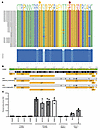 Phenotyping of brain MG outgrowth HIV from donor 2.