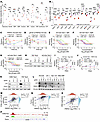 De novo purine synthesis is suppressed by RMC-6272 in an mTORC1/JUN/PRPS1-d