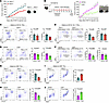 TREM1 deficiency and anti-TREM1 treatment diminish B16F10 tumor growth by a