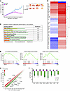 TREM1 inhibition by VJDT treatment restrains tumor growth in PDX models.