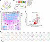 TREM1 deficiency alters the myeloid landscape in B16F10 tumors.