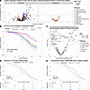 Association of human milk IgA with infection in breastfed infants.