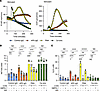 Glycolysis and the PPP are required for APS IgG–induced human neutrophil NE