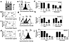 Integrin αvβ5 is a receptor for Del-1. (a) Biotinylated Del-1 (Del-1), vitr