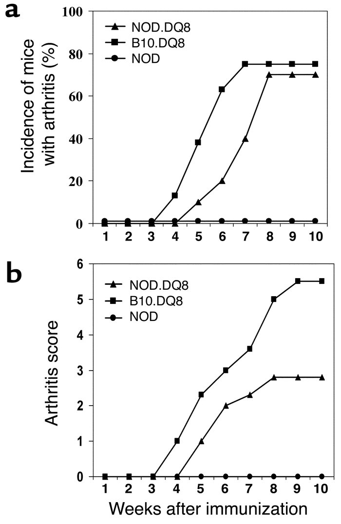 (a) Incidence and onset of arthritis after immunization with CII showed ...