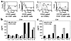 (a) Cell surface markers on splenic cells as determined by FACS after label