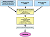 Aβ aggregation as the cause of AD. A modified version of the amyloid cascad