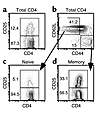 CD25 expression on naive and memory CD4 subsets. B10.D2 spleen cells enrich