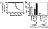 Donor memory cells engraft and respond to antigenic challenge. B10.D2 mice