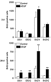 Effects of intraventricular VEGF on the number of BrdU-labeled neurons in D