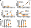 maSCV2 infection of pregnant dams results in gestation-dependent morbidity.