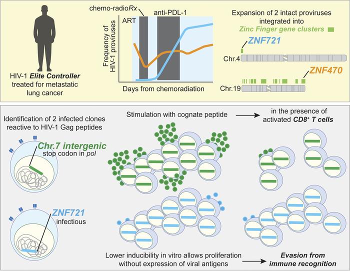 graphical abstract