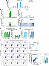 PBMC stimulation with HIV-1 Gag peptides induces proliferation of infected