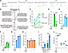 Differential impact of autologous CD8+ T cells on virus production and cell