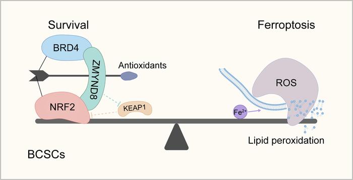 graphical abstract