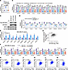 ZMYND8 enhances the transcription activity of NRF2.