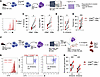 Sorted CD8α– NK cells have enhanced proliferation and survival in vitro and