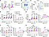 iCD8α NK cells have greater IL-15R expression and signaling.