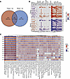 Leukocytes from human PJI patients exhibit significant transcriptional chan