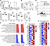 2-DG NP reduces G-MDSC–mediated immunosuppression, enhances proinflammatory