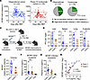 Inhibition of IL-6 signaling attenuates CMV reactivation in humans and mice