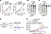 Preferential cytotoxicity of GSK-3i in splicing factor mutant leukemia over