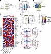 GSK-3i is associated with global alterations in gene expression and splicin