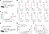 Prior treatment with r3LCMV renders mice more resistant to tumor challenges