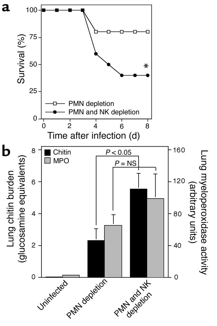 Survival after intratracheal A. fumigatus challenge in neutropenic mice ...