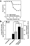 Survival after intratracheal A. fumigatus challenge in neutropenic mice wit