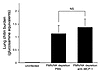 Lung chitin content 3 days after intratracheal challenge with A. fumigatus