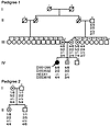 Segregation analysis of the I26T mutation within pedigree 1 (the family of