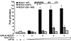 HESX1(I26T) shows impaired interaction with Gro/TLE-VP16 in transient trans