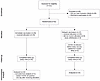 CONSORT flow diagram.