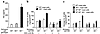 Quantification of the concentration of KitL in Schwann cell CM and the effe