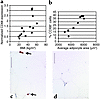 CD68 expression in human subcutaneous adipose tissue. Subcutaneous adipose