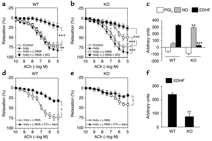 Reduced EDHF-mediated relaxations in Cu,Zn-SOD–/– mice. Endothelium-depe...