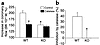 Reduced coronary flow increase in Cu,Zn-SOD–/– mice. (a) Coronary flow incr