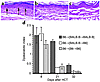 Reduced epithelial injury over time in [BALB.B→B6] chimeric recipients. (a–