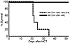 Minor histocompatibility antigen expression by nonhematopoietic tissues sti