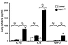 Increased IL-1β, IL-6, and MIP-2 in Stat-3Δ/Δ mice after 95% O2. IL-1β, IL-