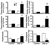 Abnormalities in pulmonary mechanics in Stat-3Δ/Δ mice following hyperoxia.