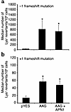 Induction of –1 (a) and +1 (b) frameshift mutations in yeast by human AAG.