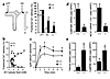 Renal and duodenal Ca2+ transport assays. (a) Fractional Ca2+ delivery to t