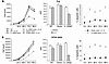 Assessment of proliferation and apoptosis of IL-12Rβ2_transfected Raji (A)