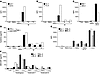 T cell lines derived from vaccinated FL patients specifically responded to