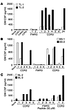 Cytokine response by T cells to peptides derived from CDRs of Ig VH. T cell