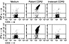 LE-1 T cells produced Th1 cytokines in response to CDR2-1 peptide. T cells