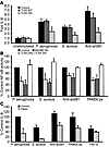 Activation of NF-κB and IL-8 by bacteria or bacterial agonists is inhibited